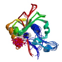 File:1mo8 asym r 250.jpg