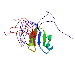 File:1whv asym r 250.jpg