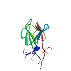 File:1wln asym r 250.jpg