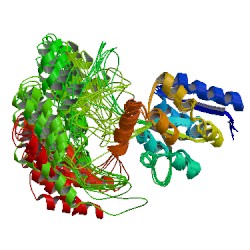 File:2d21 asym r 250.jpg