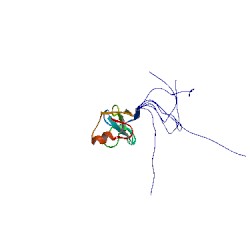 File:1vd0 asym r 250.jpg