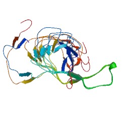 File:1hhn asym r 250.jpg