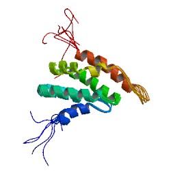 File:1vdy asym r 250.jpg