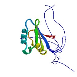 File:2e29 asym r 250.jpg