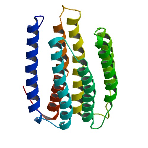 File:2L6X bio r 250b.jpg