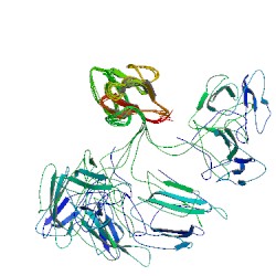 File:2jz4 asym r 250.jpg