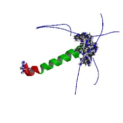 File:2h3s asym r 250.jpg