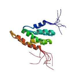 File:2dcp asym r 250.jpg