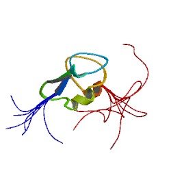 File:1wvo asym r 250.jpg