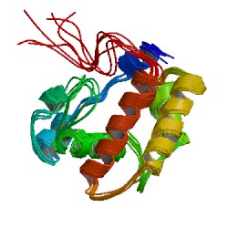 File:1ls8 asym r 250.jpg