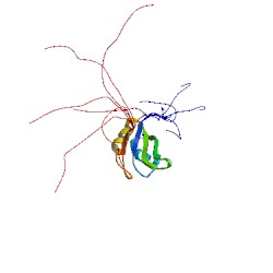 File:2rne asym r 250.jpg