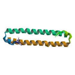 File:2jo8 asym r 250.jpg