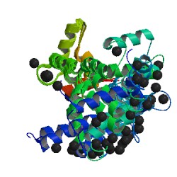 File:1x02 asym r 250.jpg