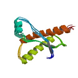 File:1e1g asym r 250.jpg