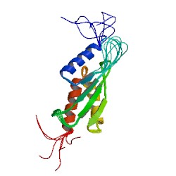 File:1ukx asym r 250.jpg