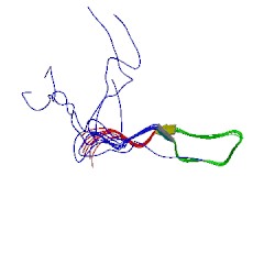 File:1k9c asym r 250.jpg