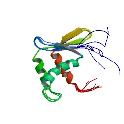 File:1wwq asym r 250.jpg