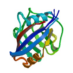 File:1oca asym r 250.jpg
