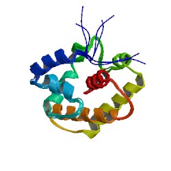 File:1gm0 asym r 250.jpg