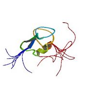 File:180px-1wvo asym r 250.jpg