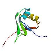 File:180px-2RRB bio r 250.jpg