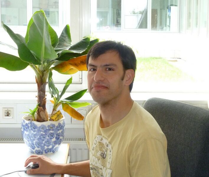 File:907px-Sina Kazemi.jpg